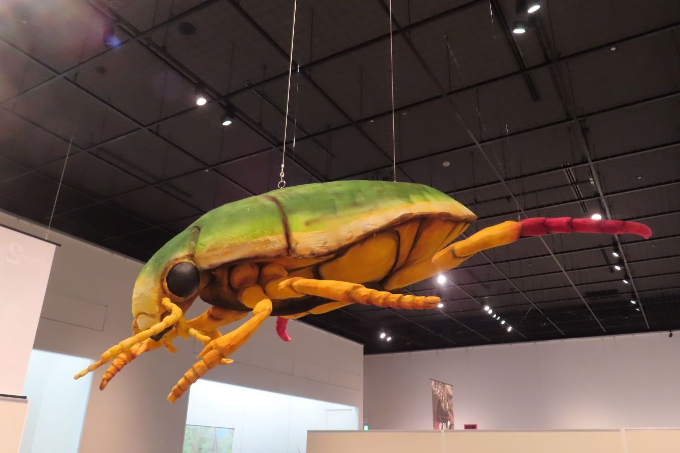 🏛️ 나스노가하라 박물관(나스노가하라 하쿠부츠칸) 이미지 6